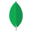 API icon